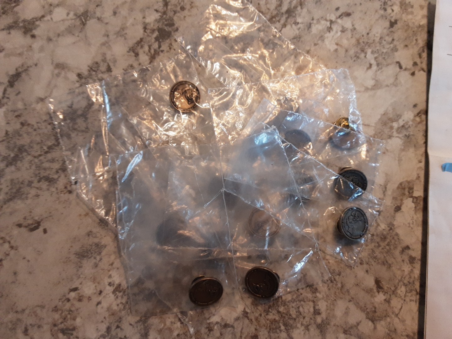 Michigan Rehab.- Disability Pins