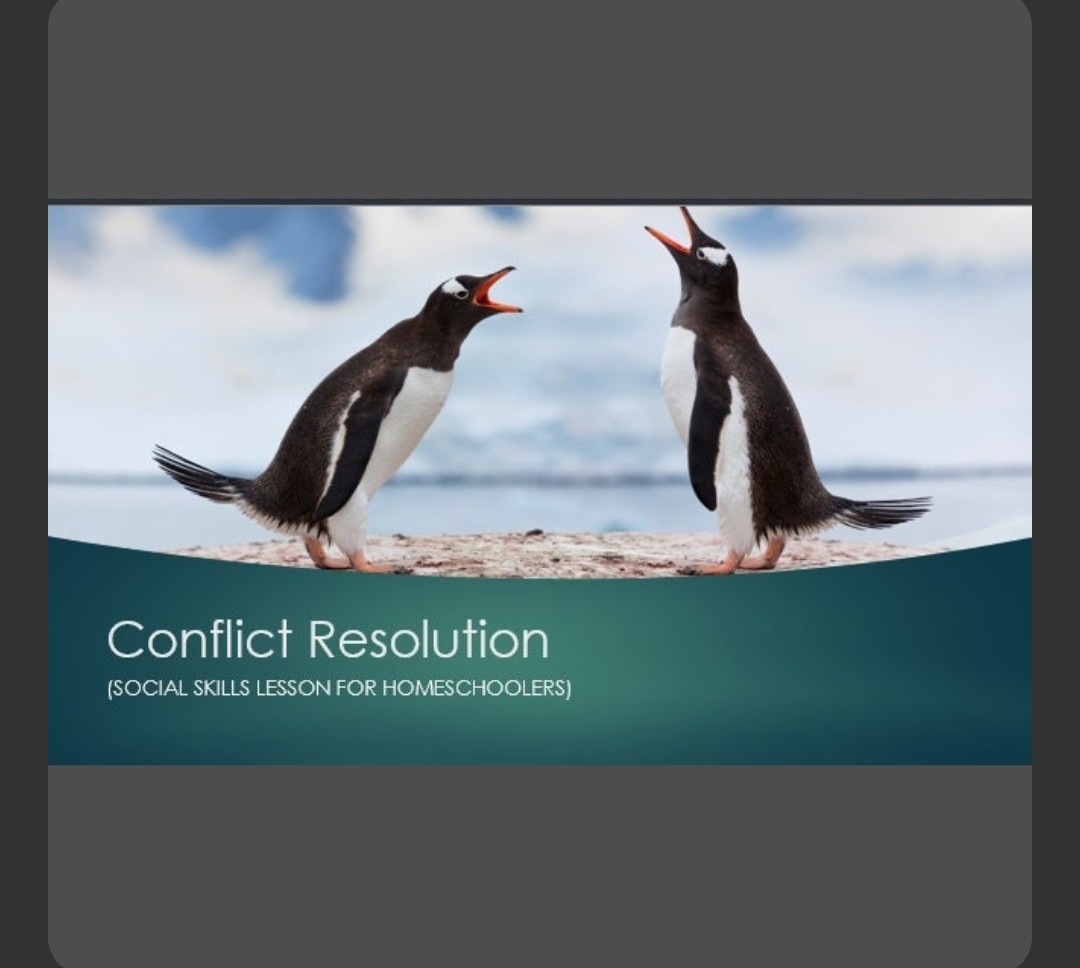 Conflict Resolution Lesson For Homeschool Or Regular School Kids, Counseling etc