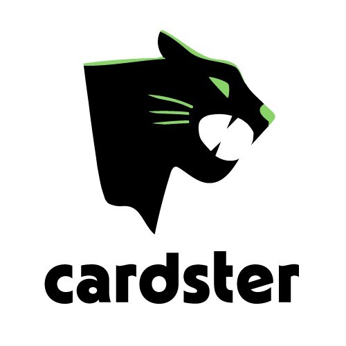 Toploader Option (All cards are put in loaders no matter what price)