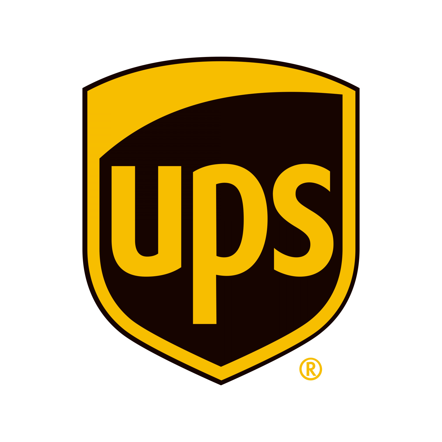 FedEX or DHL or UPS Extra charges for Expedited International Shipping