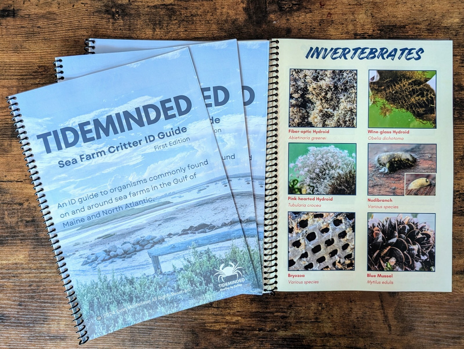 Sea Farm Critter ID Guide; water-resistant, 70+ species, spiral-bound
