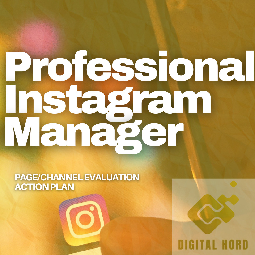 Professional Instagram Manager