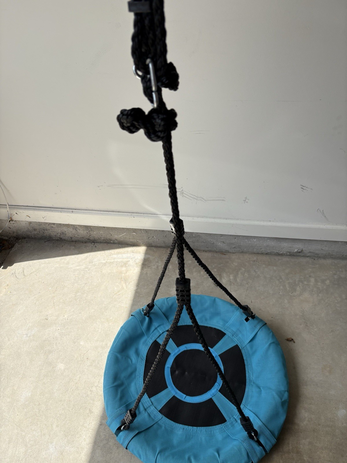 Tree Swing