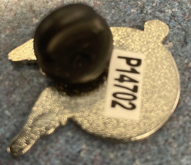 Women Air Service Pilot Pin