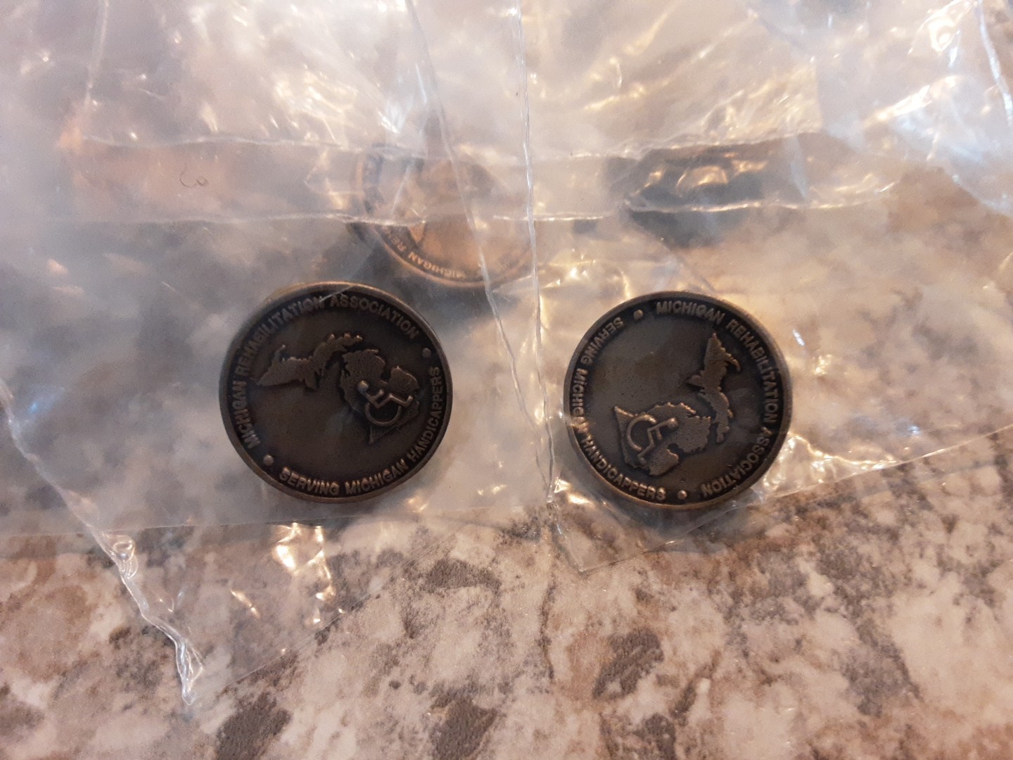 Michigan Rehab.- Disability Pins