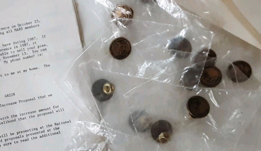 Michigan Rehab.- Disability Pins