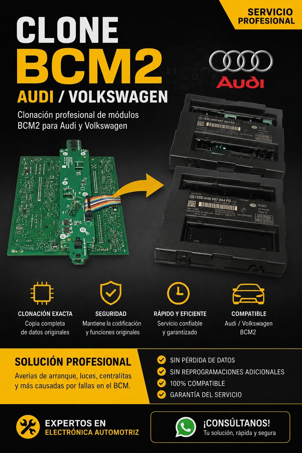 Audi Bcm2 Clone Service