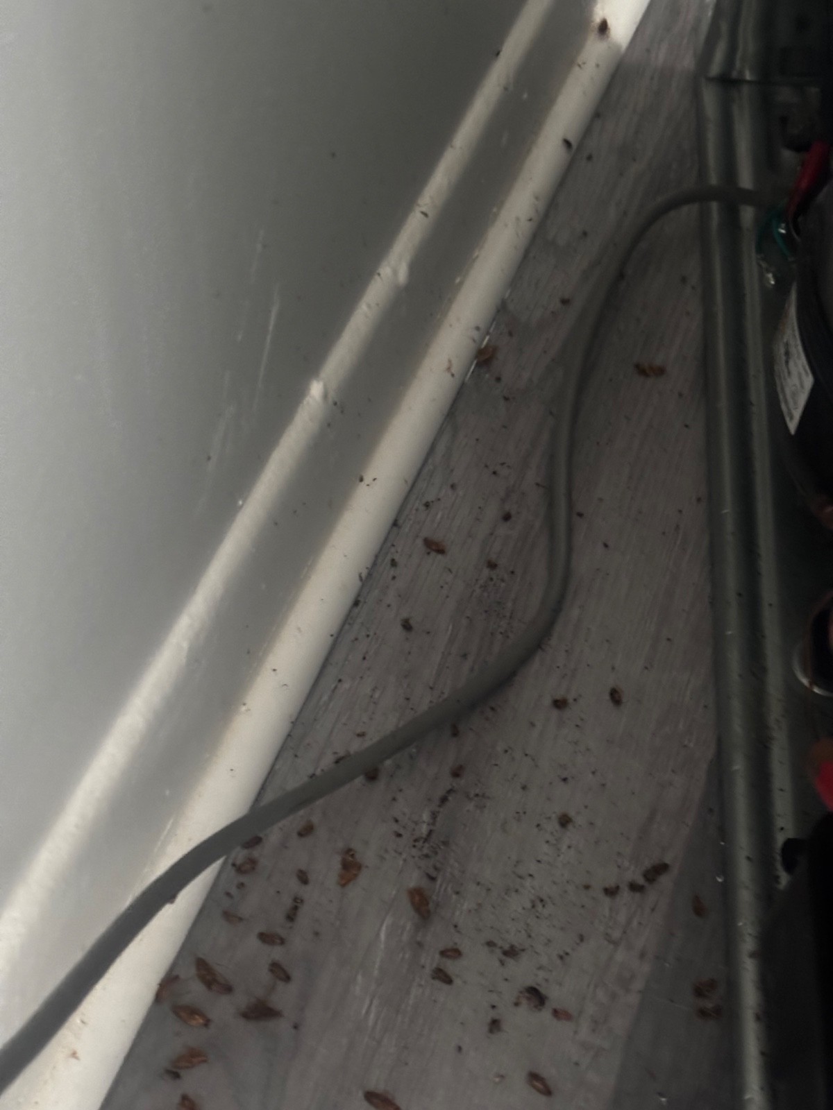 Professional Rental, Airbnb & Move-In Cleaning | Baltimore, MD