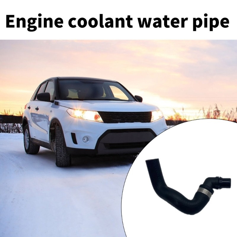 A2218302096 Automotive Accessory for W221 C216 Water Tanks Radiator Coolant Hose