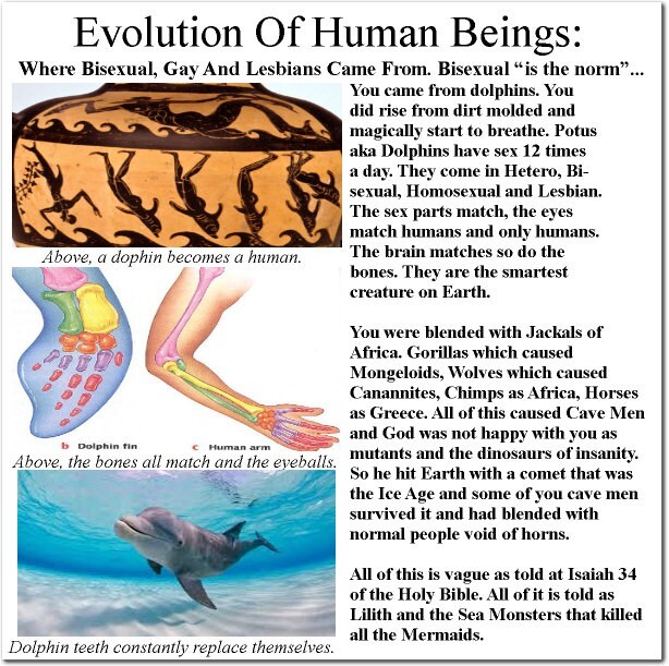 Ultimate Psychic Reading By King Solomon’s Wisdom, The Hebrews Ark