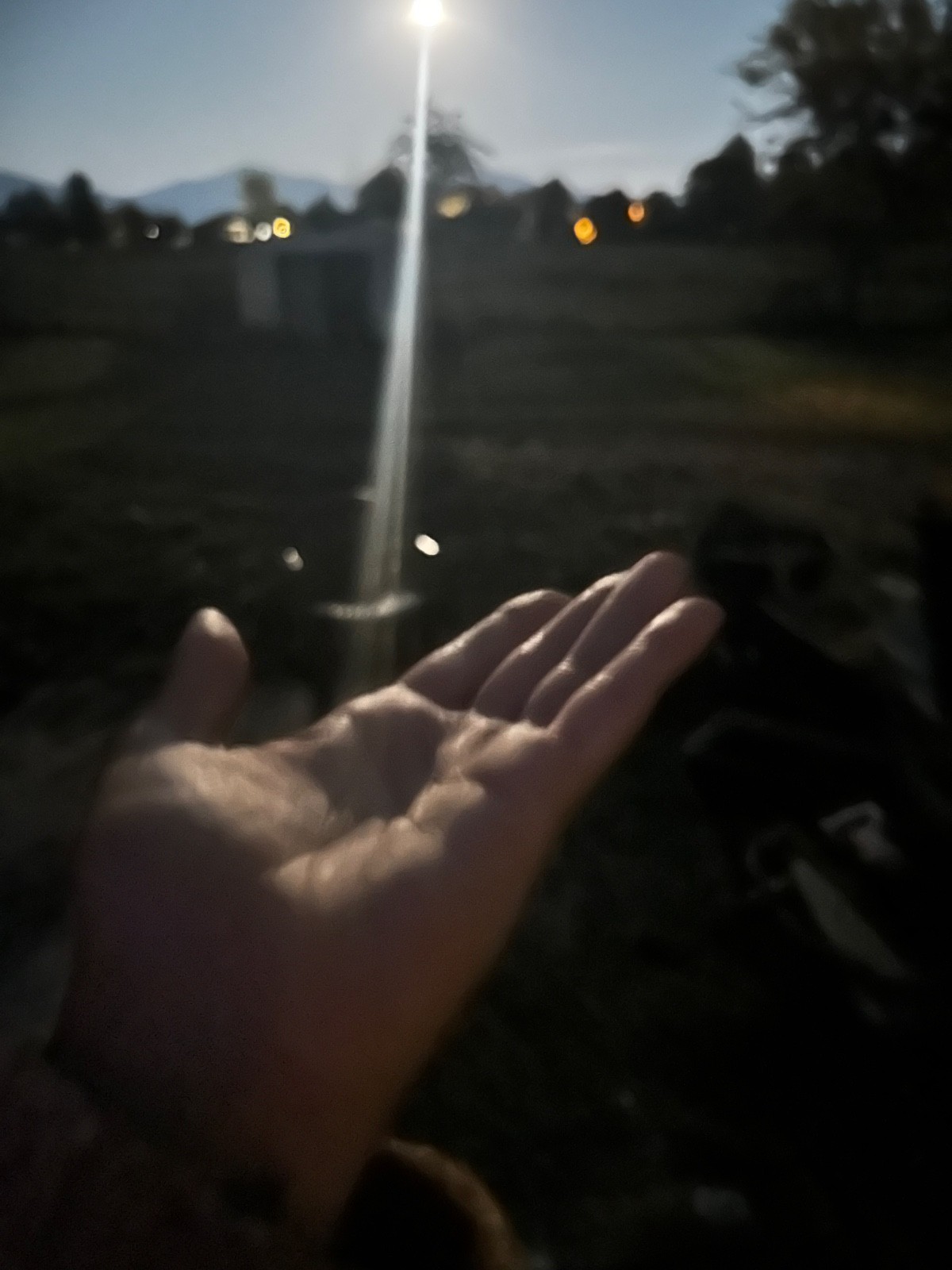 Tarot/Runes/Tiles Reading Love, General, Career, Any Questio, Channeled Message