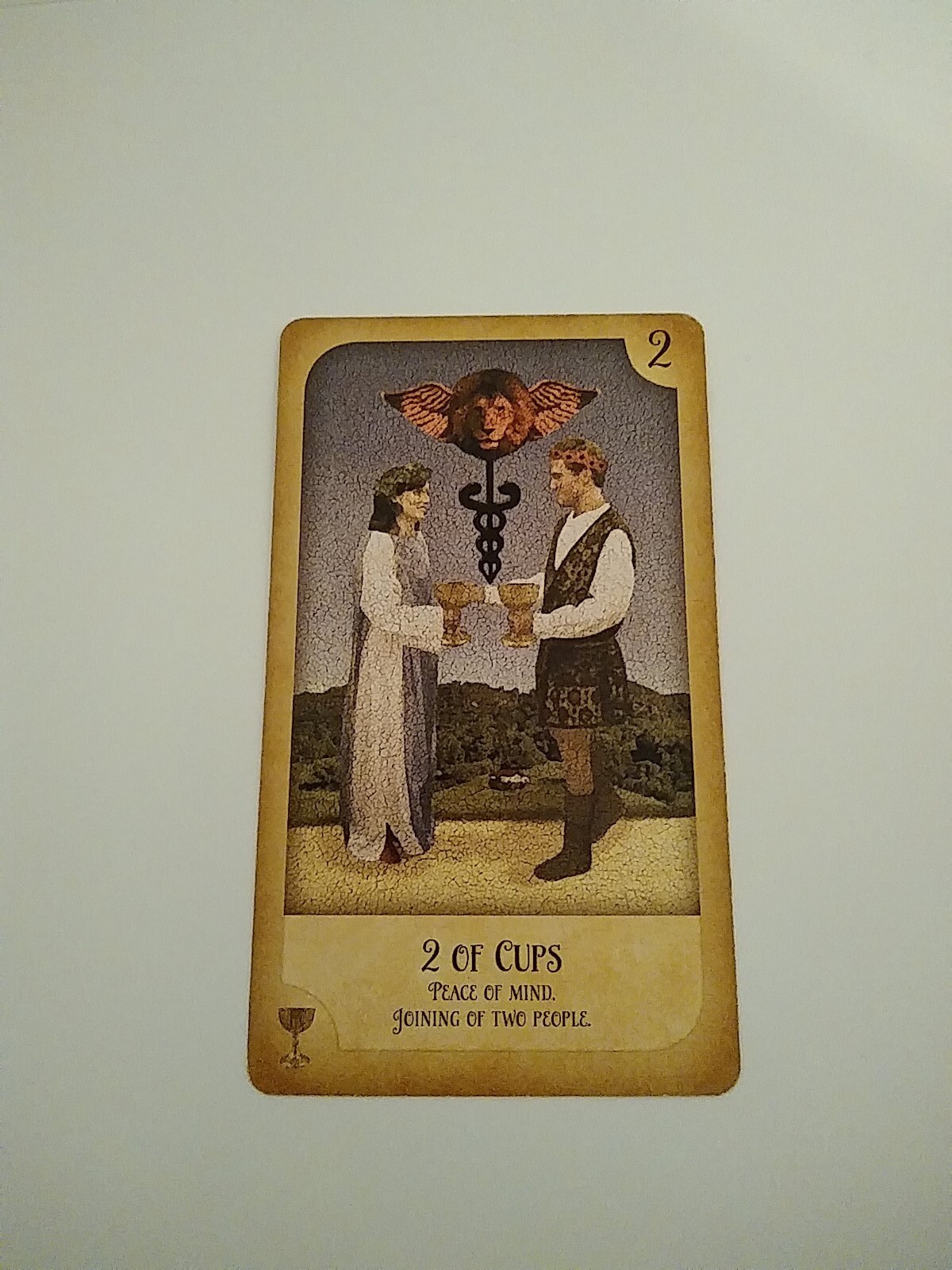 Psychic Tarot Reading One Card ( Spirit Guide)