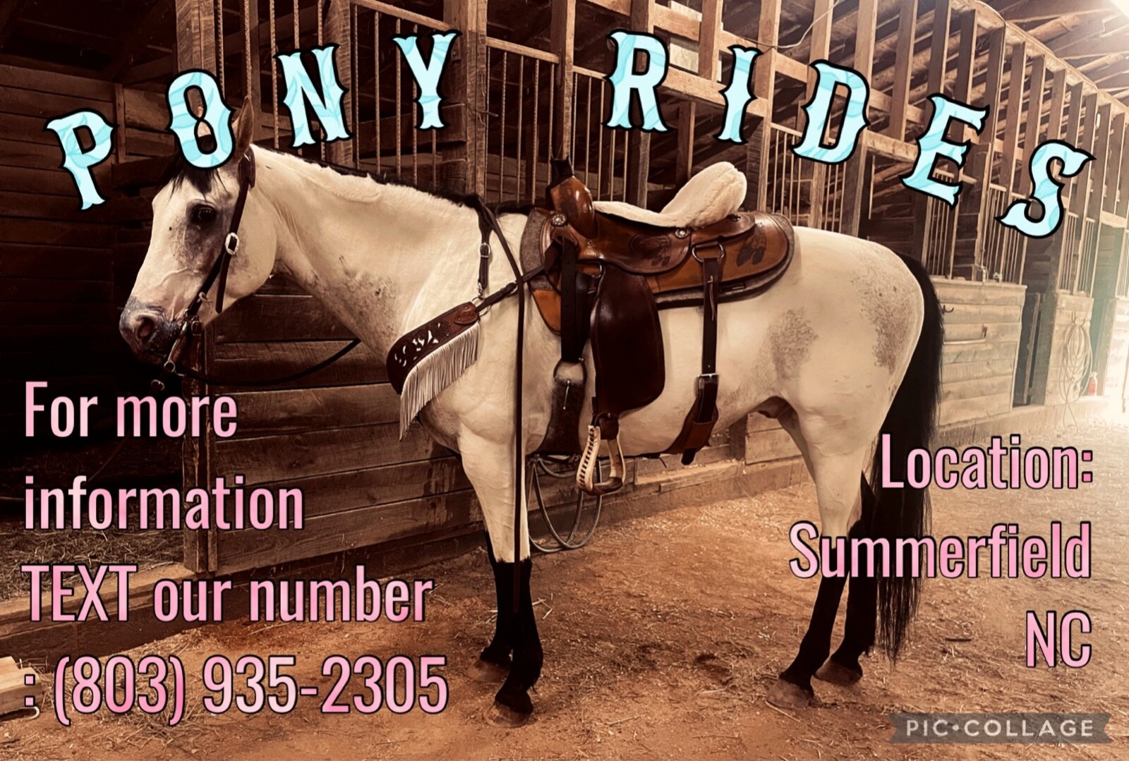 Horse Rides, (English and Western) beginner, intermediate and Advanced